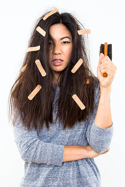 Bad Hair Day Too stock photo