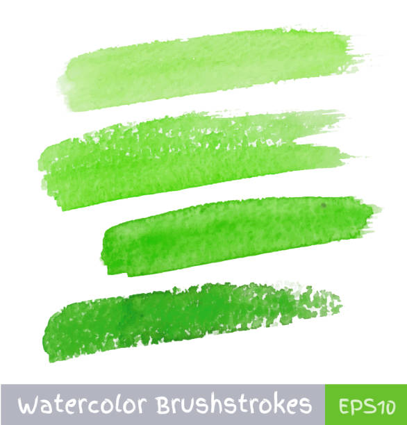 green aquarell brush strokes - tapezierbürste stock-grafiken, -clipart, -cartoons und -symbole