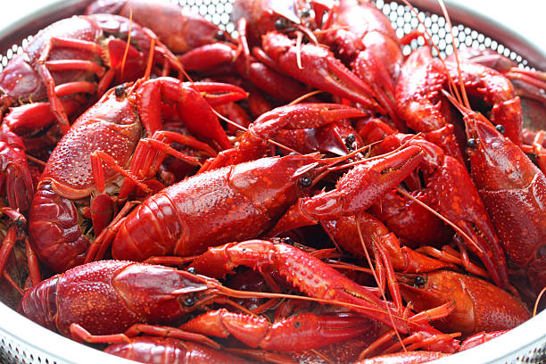 istock boiled crawfish, clayfish party 518679965