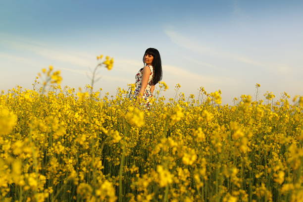 istock Beauty in canola field 518680602