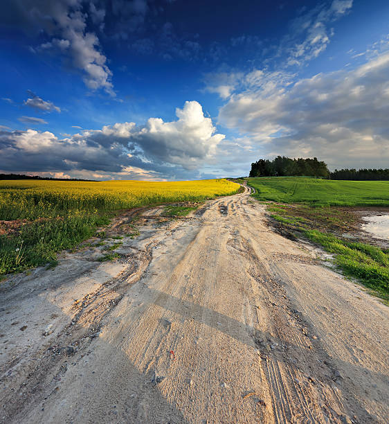 istock Country road in spring colza fields 518689348