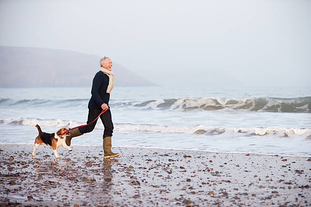 istock Senior Man Walking Along Winter Beach With Pet Dog 518700235