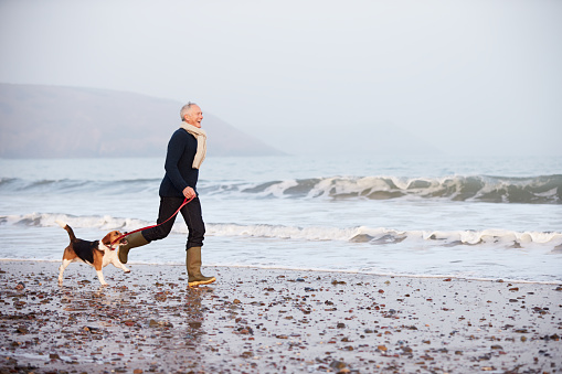 Senior Man Walking Along Winter Beach With Pet Dog