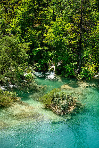 istock Plitvice Lakes 518701453