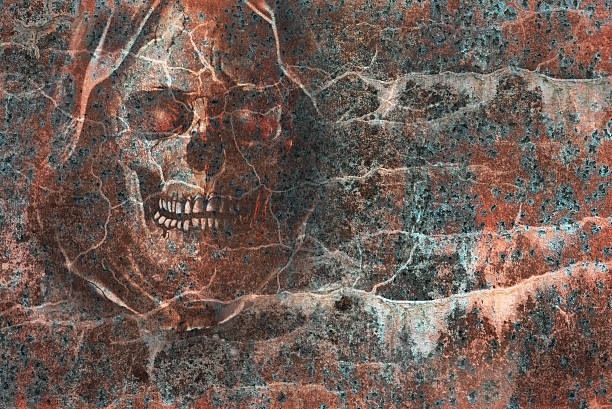 istock the skull 518701573