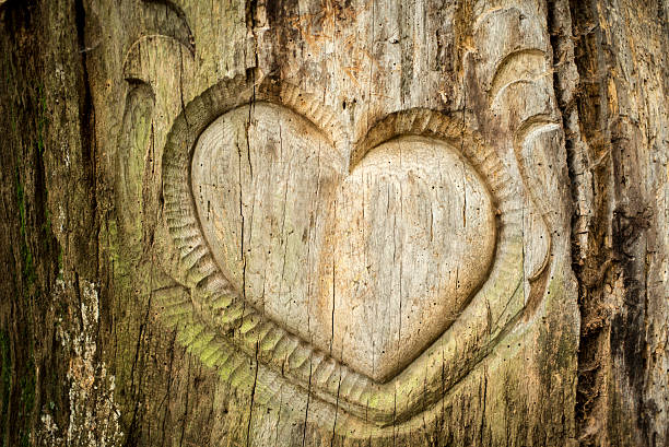 istock heart carved into the tree, as a token of love 518701621