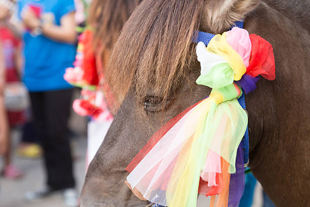 horse in traditional buddhist monk ordination ceremony at Roy Jun temple in Chiang Mai, Thailand