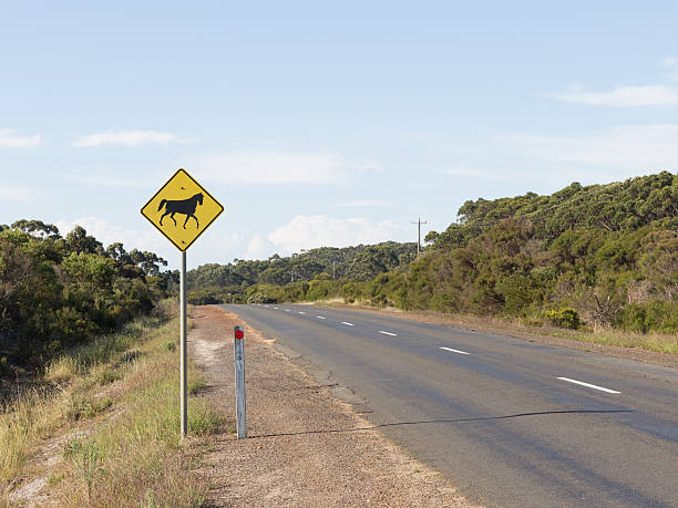 istock yellow road sign in rural Australia 518704284