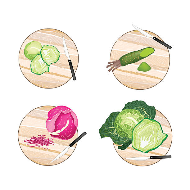 brukselka, kapusta włoska, kapusta głowiasta fioletowy i chrzan japoński korzenie - savoy cabbage stock illustrations