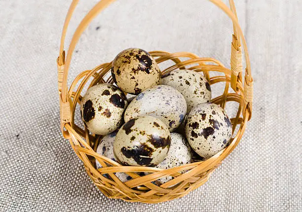 Photo of The wood basket filled with eggs of quail