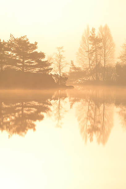 istock Mirror av nature, lake eith morningfog 518707886