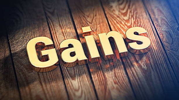 istock Word Gains on wood planks 518708492