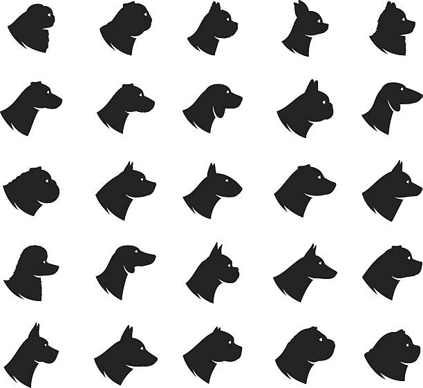 Vector dog icons collection isolated on white Vector dog breeds icons collection isolated on white. Dog icons collection for cynology, pet clinic and pet shop. cane corso stock illustrations
