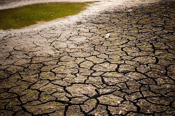istock sunset on a died and cracked soil in arid season 518709596