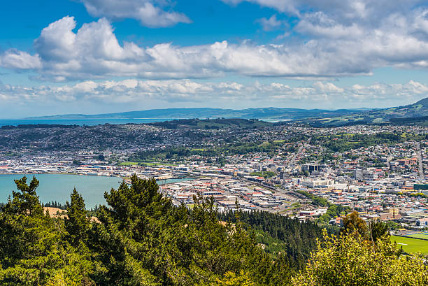 Dunedin seen from the peak of Signal Hill, New Zealand Views towards the city from the lookout at the Centennial Memorial on Signal Hill Dunedin Otago South Island New Zealand dunedin new zealand stock pictures, royalty-free photos & images