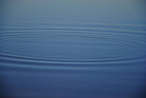 istock The circles in the water 518714156