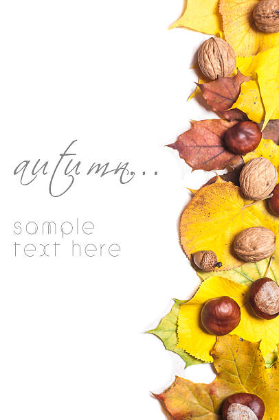 istock Autumn nature concept. Fall fruit and vegetables on wood. Thanksgiving 518717683