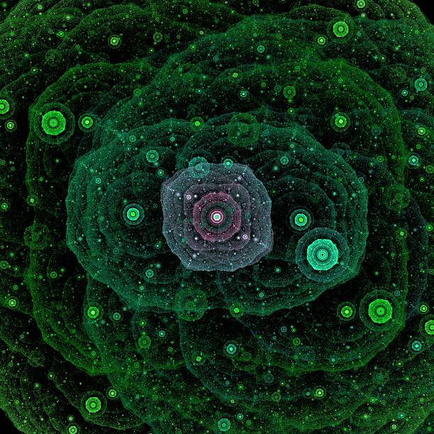 istock Symmetrical growth of bacteria 518718869
