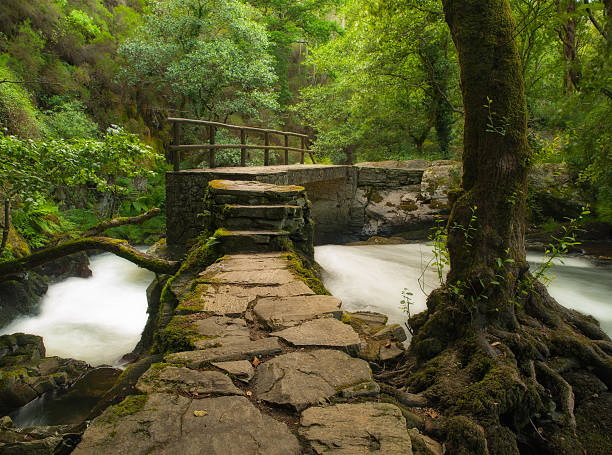 istock Beautiful view in Refugio de Verdes 518719287