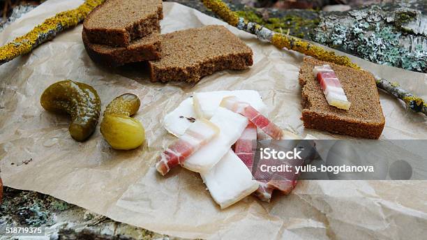 Salo With Pickles Black Bread In The Forest Stock Photo - Download Image Now