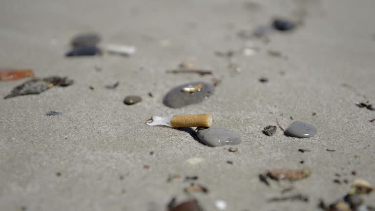 A cigarette butt left on the beach shows pollution of the environment