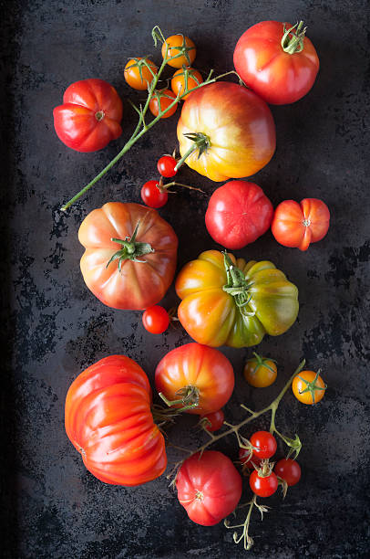 органические негибридный помидоры - multi colored vegetable tomato homegrown produce стоковые фото и изображения