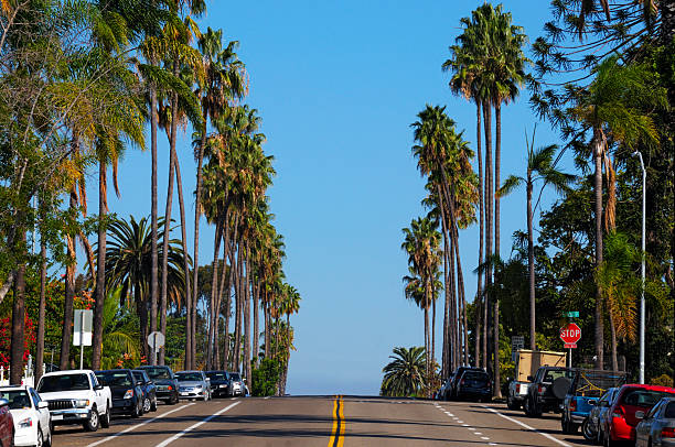 istock Palm Tree Lined Suburban Southern California Street 518720847