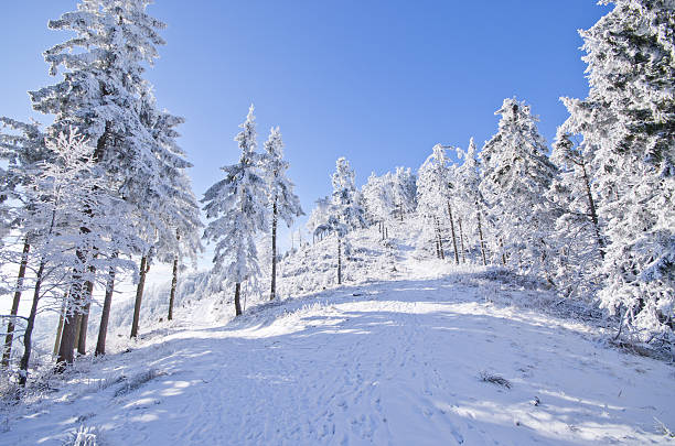 istock Winter landscape in the hills 518722775