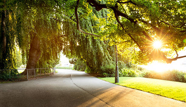 istock Jogging place in a beautiful city park 518724211
