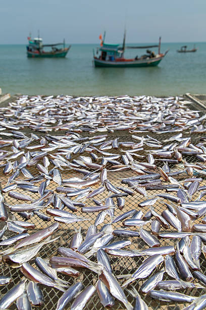 istock Dried Seafood at Thai Sea 518726652