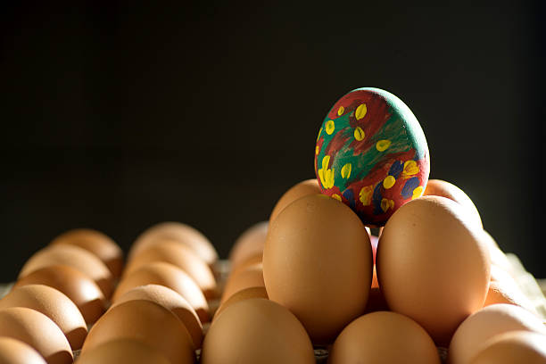 huevo de dos tonos oscura en bandeja de - carton multi colored easter egg easter fotografías e imágenes de stock
