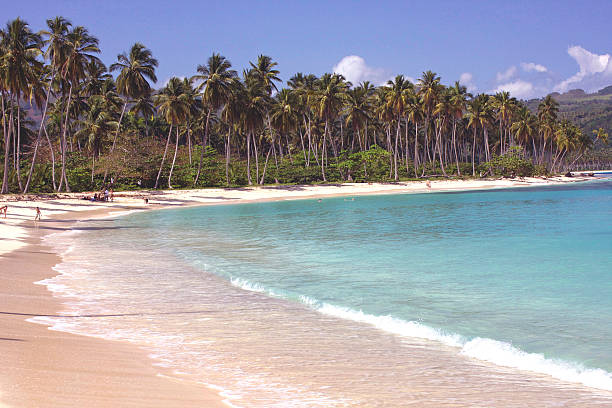 Carabian beach The famouse beach Playa Rincón playa rincón stock pictures, royalty-free photos & images