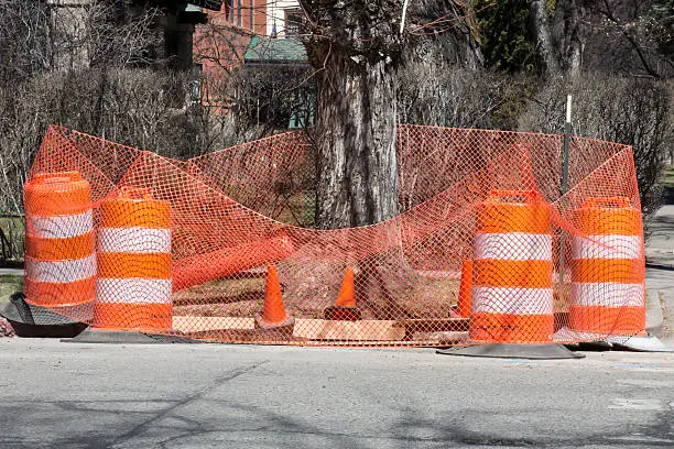 Photo of Orange traffic barrels and barrier around a tree