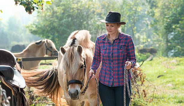 istock Woman and her horses 518730691