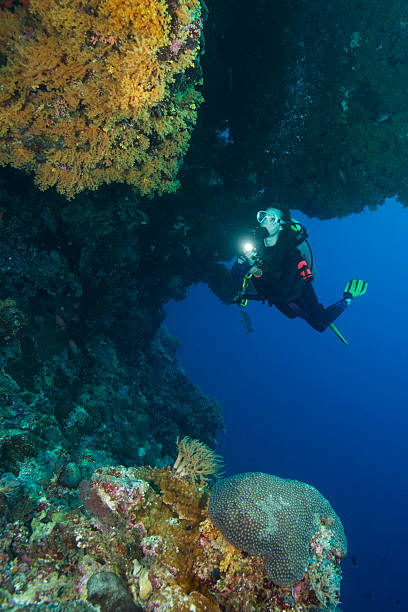 istock Diver and Sea Life in Palau, Micronesia 518730938