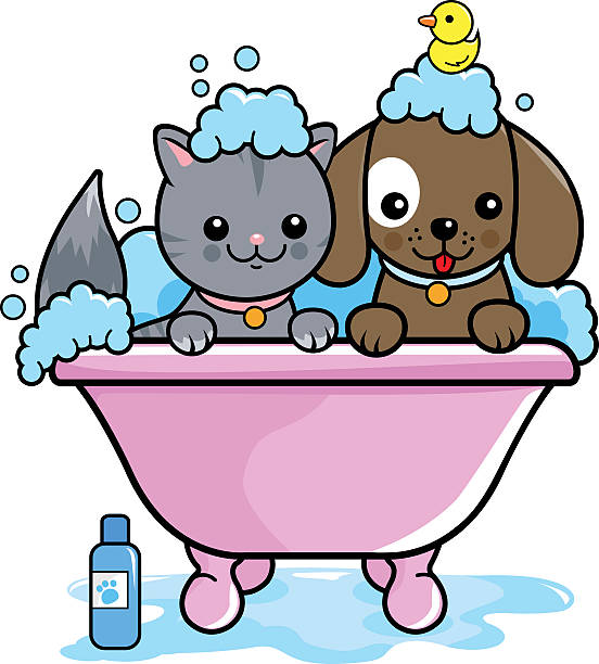 Dog and cat taking a bath Vector illustration of a dog and a cat in a tub taking a bubble bath. pet grooming salon stock illustrations