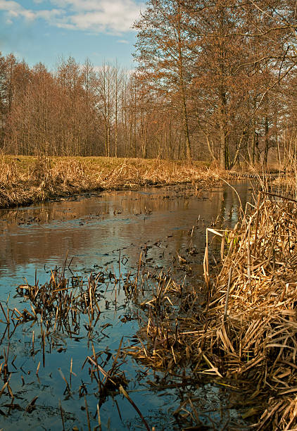 istock Interesting european spring landscape, river, forest, meadow 518731876