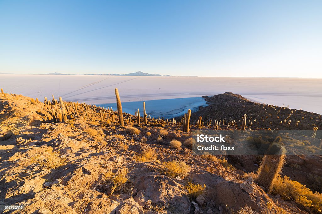 Uyuni Salt Flat on the Bolivian Andes at sunrise Wide angle view of the Uyuni Salt Flat, among the most important travel destination in Bolivia. Shot taken at sunrise from the summit of the Incahuasi Island with glowing cactus. Above Stock Photo
