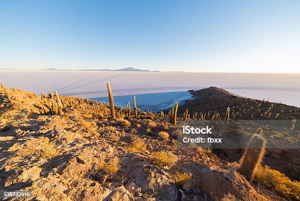 Uyuni Salt Flat On The Bolivian Andes At Sunrise Stock Photo - Download Image Now - Above, Altiplano, Andes