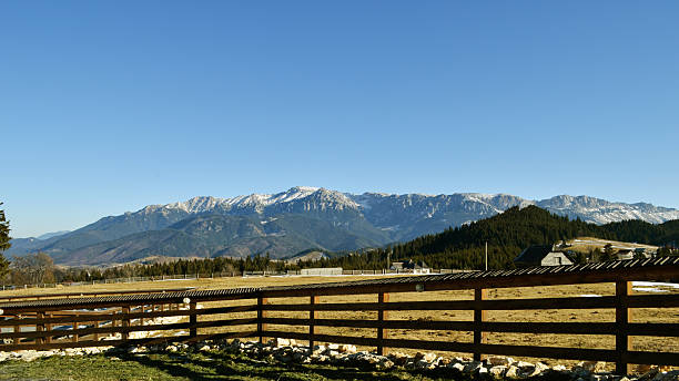 istock Beautiful Carpatian mountain 518732773