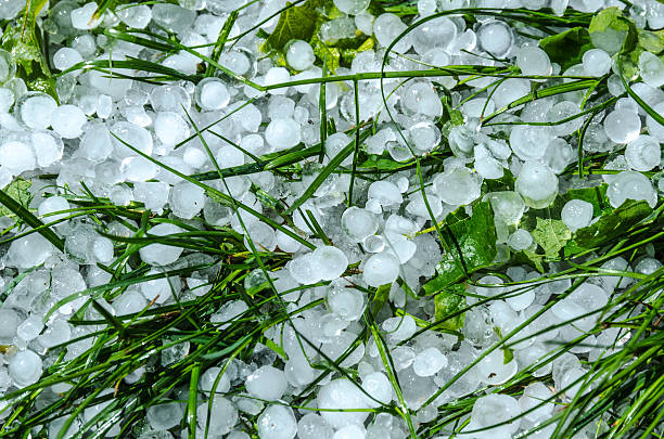 granizo/bolas de gelo na relva após a chuva pesadaweather condition - solidified imagens e fotografias de stock