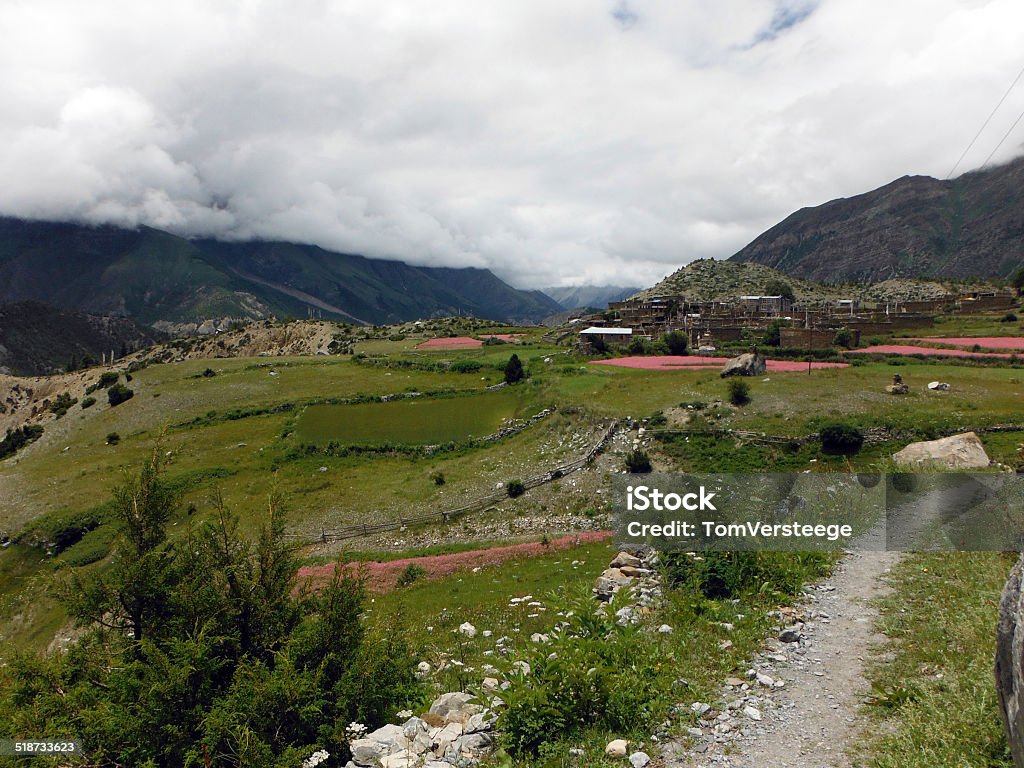 Pequena aldeia em uma paisagem do Himalaia - Foto de stock de Agricultura royalty-free