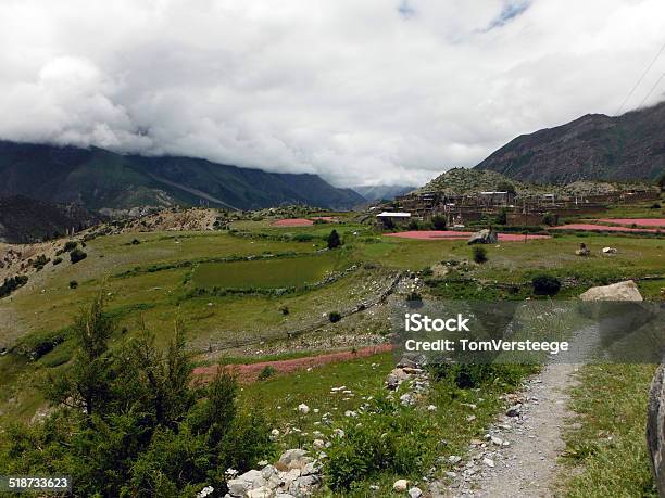 Foto de Pequena Aldeia Em Uma Paisagem Do Himalaia e mais fotos de stock de Agricultura - Agricultura, Ajardinado, Aldeia