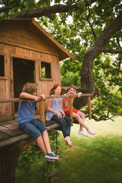 istock Three children talking while playing in a wooden treehouse 518733626