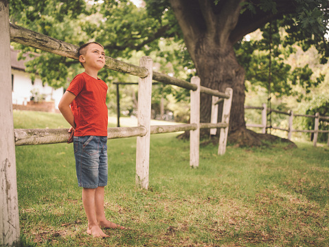 One little boy in a park on a summer day leaning against a rustic wooden fence looking up into the trees daydreaming
