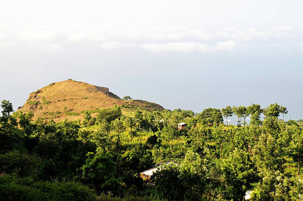istock Lush vegetation in Ribeira Filipe 518735170