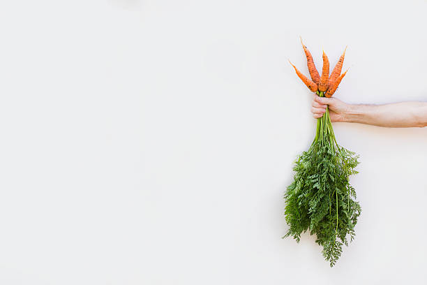 istock Farmer holding a carrot on a white background. 518735412