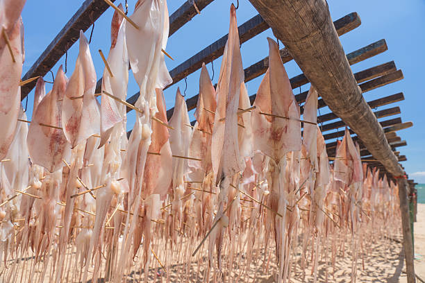istock Seafood, dried by the sun 518735913