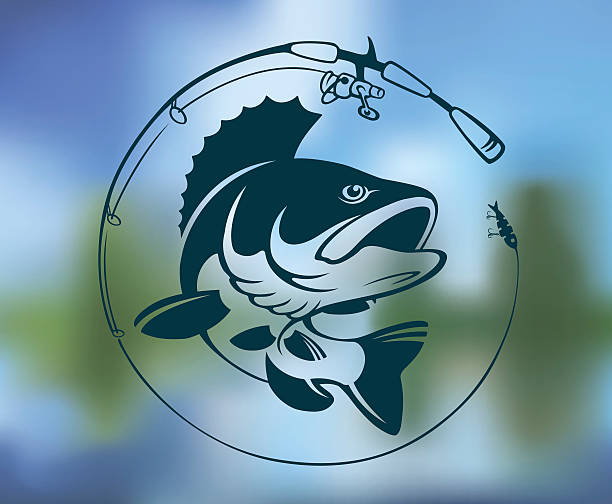 perch  logo Shown on perch fishing logo bass fish stock illustrations