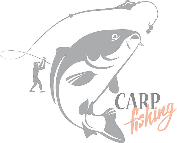 Carp fishing the figure shows the carp fishing carp stock illustrations